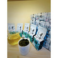 Taiwan unique tea,楓林茶葉,Chin-Shin-Oolong,Huagan,75g*8