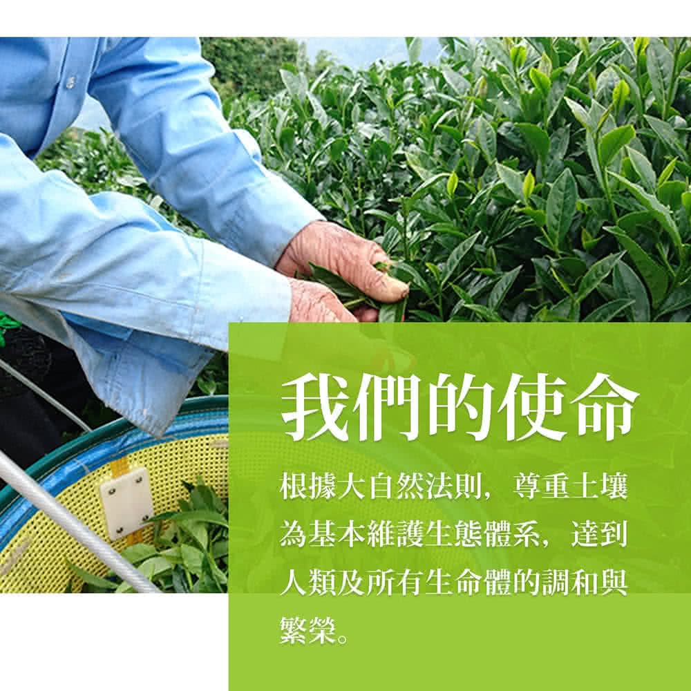 Taiwan unique tea,阿里山香氣鮮靈烏龍茶葉 Alishan Oolong tea,150g*4