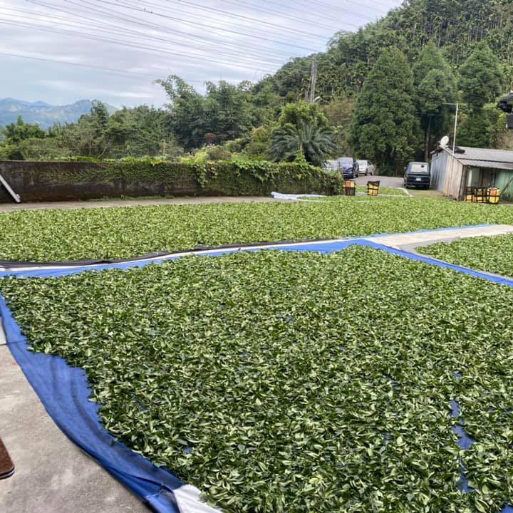 Taiwan unique tea,Namasya 條形紅茶,75g*8