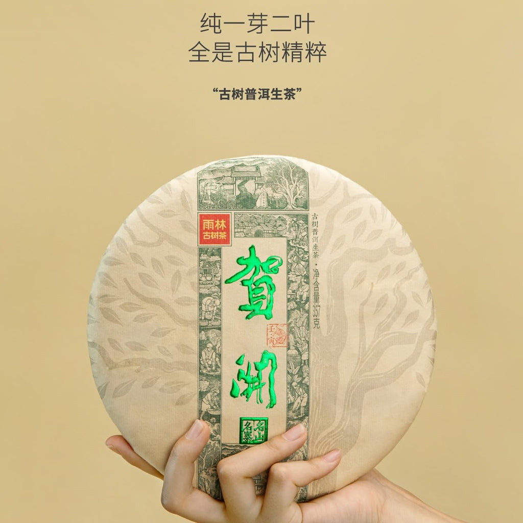 Rainforest Ancient Tree Hekai 2021 Raw Pu-Erh Tea Cake 357g – Premium Yunnan Sheng Puerh, Smooth & Aromatic
