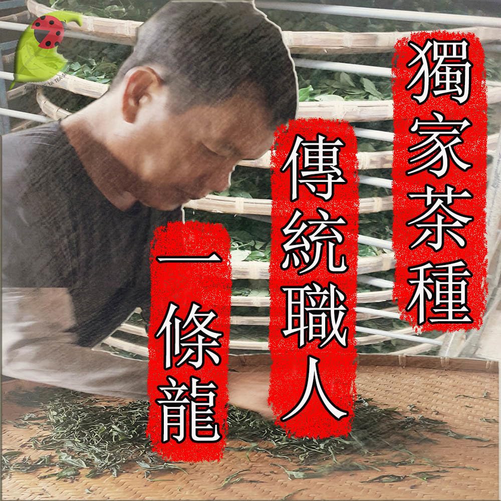 Taiwan unique tea,杉林溪烏龍茶葉 Shanlinxi Oolong Tea,150g*4