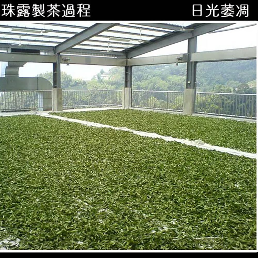 Taiwan unique tea,Chin-Shin-Oolong,阿里山珠露茶 Alishan Tea,300g*2