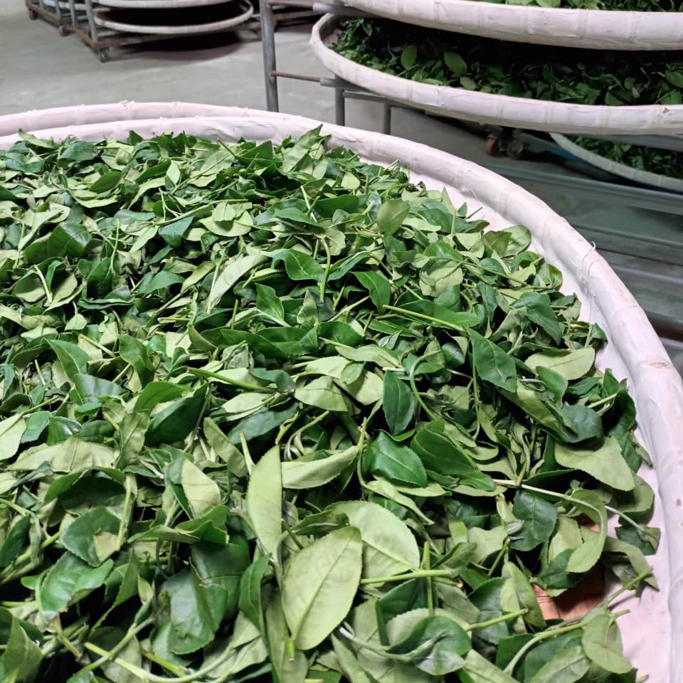 Taiwan unique tea,Namasya 條形紅茶,75g*8