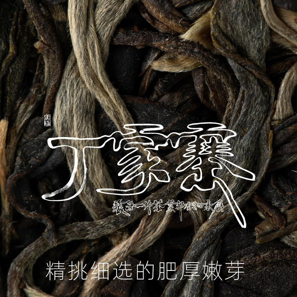Rainforest Ancient Tree 2021 Dingjiazhai Raw Pu-Erh Tea Cake – 357g Premium Sheng Puerh