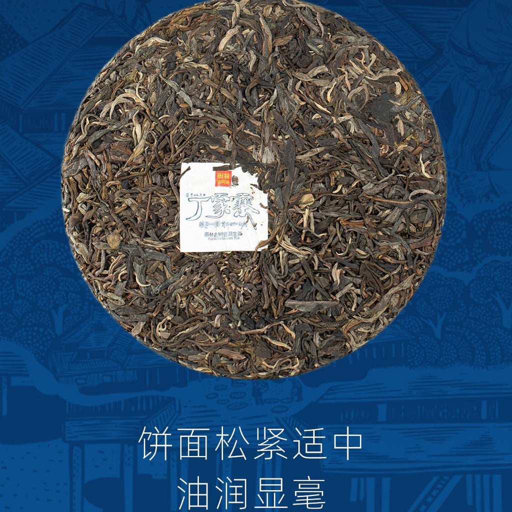 Rainforest Ancient Tree 2021 Dingjiazhai Raw Pu-Erh Tea Cake – 357g Premium Sheng Puerh
