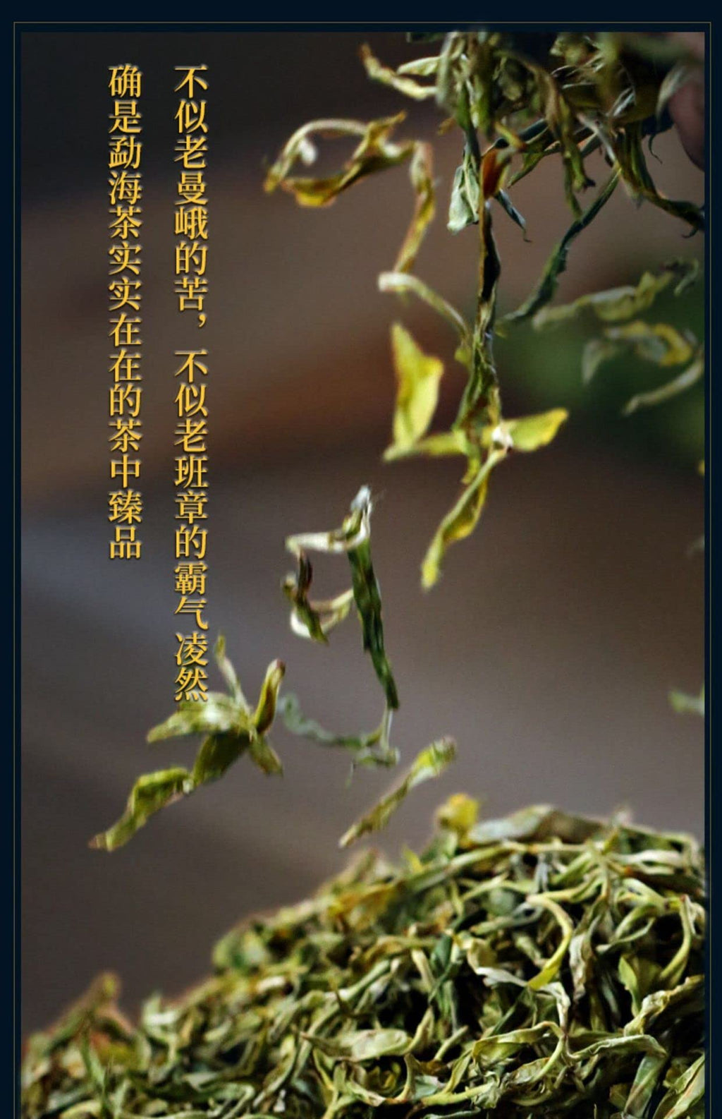 Sheng Jiayuan 2020 He Kai Raw Pu-Erh Tea Cake 357g – Aged Sheng Puerh from He Kai Mountain, Yunnan