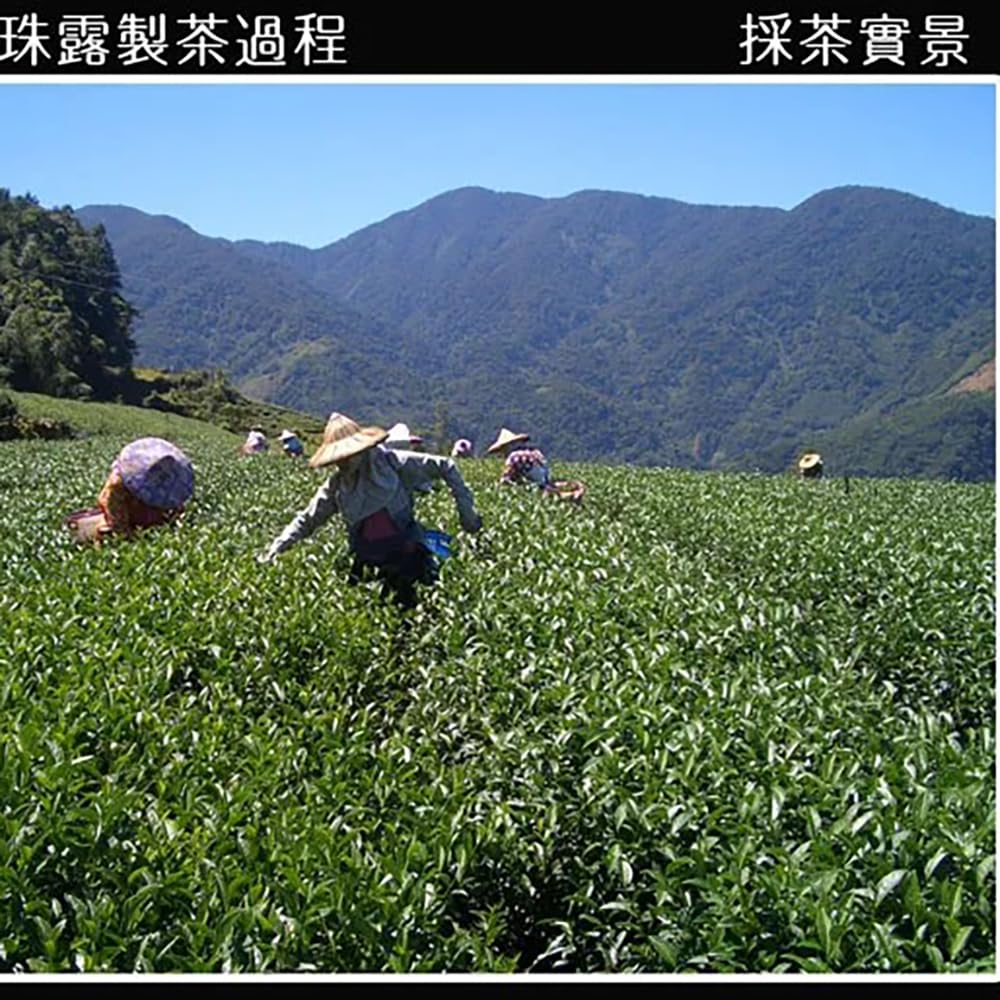 Taiwan unique tea,TTES No.12 (Jhinshuan),阿里山珠露茶 Alishan Tea,300g*2
