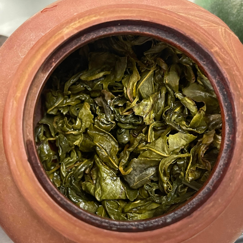 Authentic Gangkou Tea, Snow Pear Variety, 300g × 2