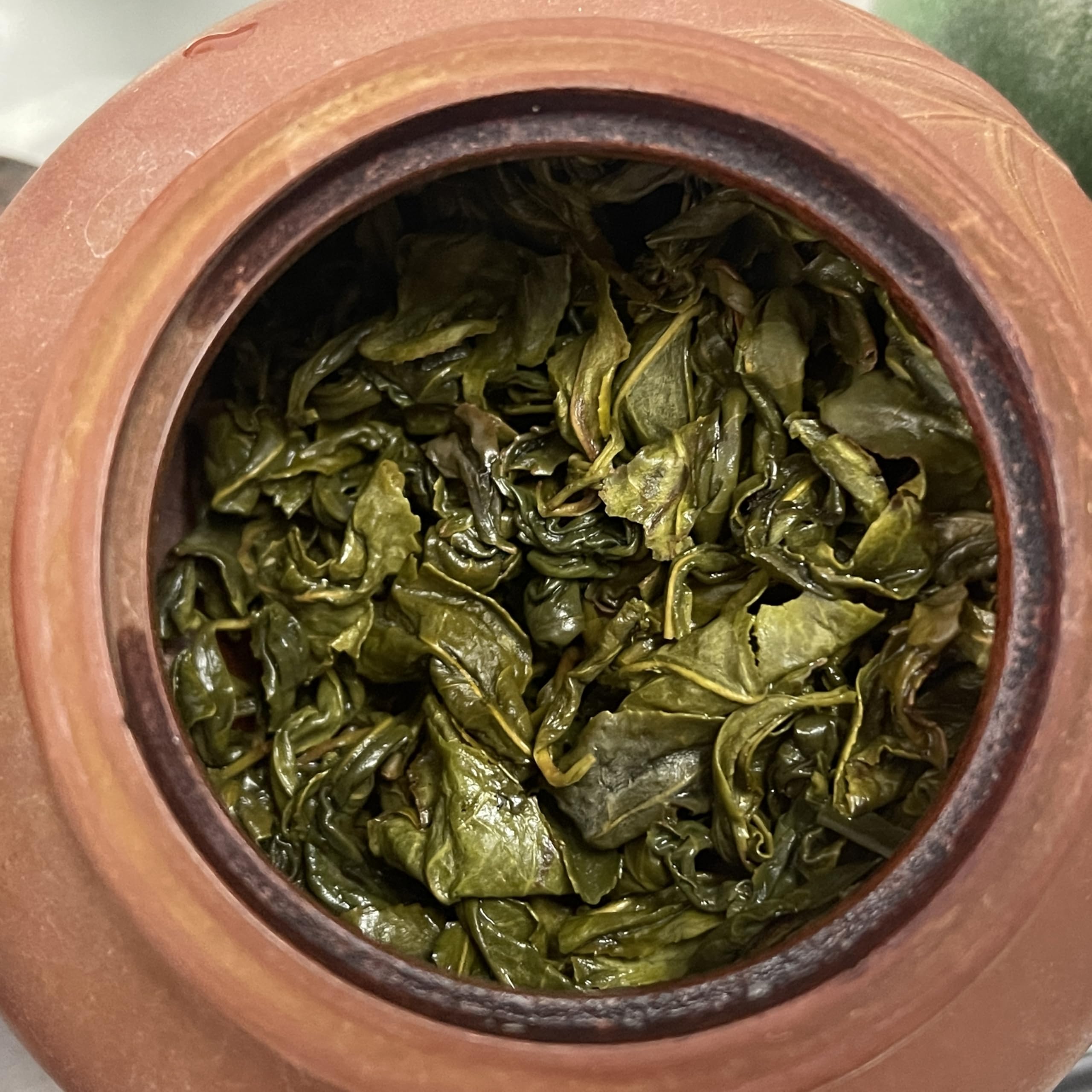 Authentic Gangkou Tea, Snow Pear Variety, 300g × 2