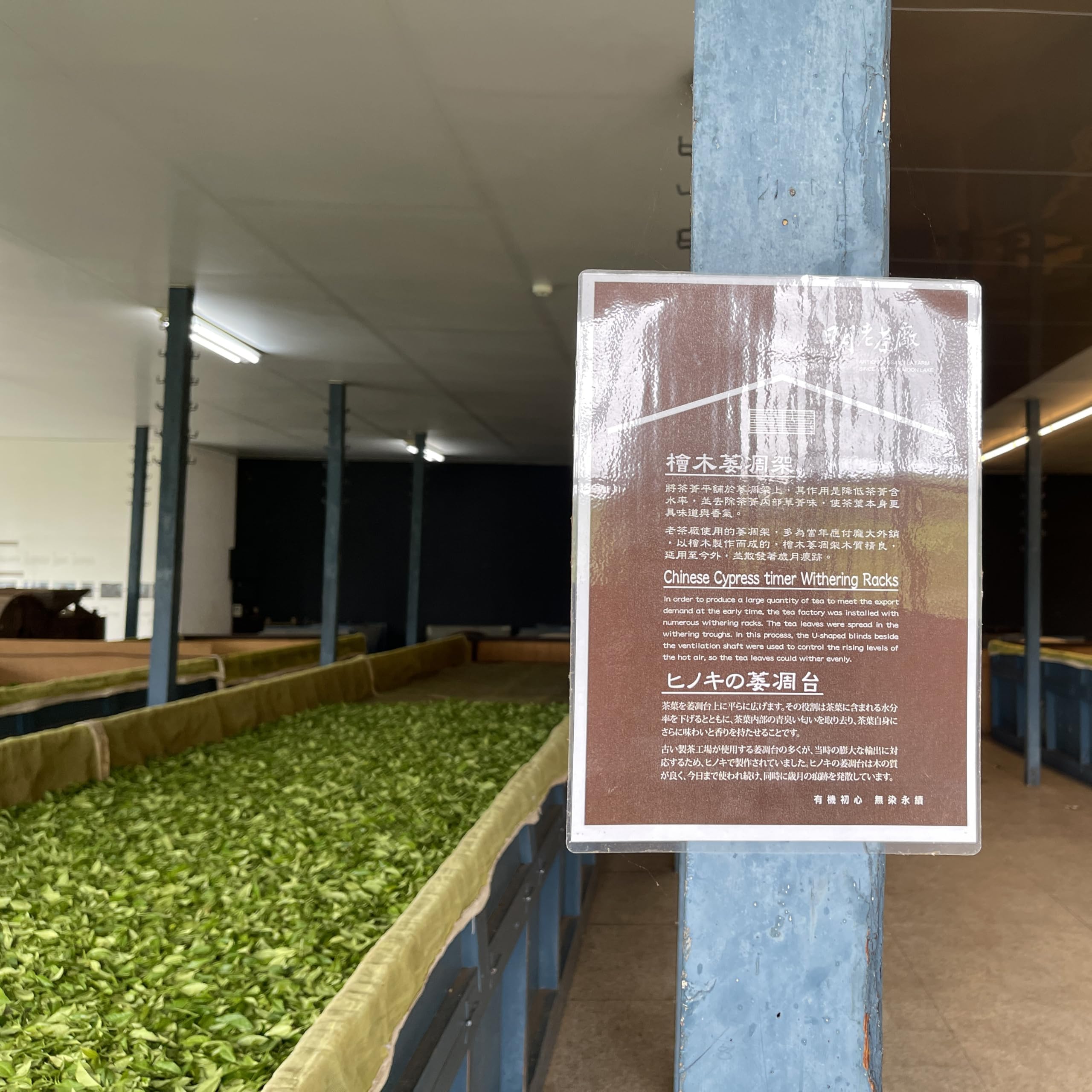 TTC TTES No.21 (Honyun) Large-Leaf Black Tea, 150g × 4, Taiwan Black Tea