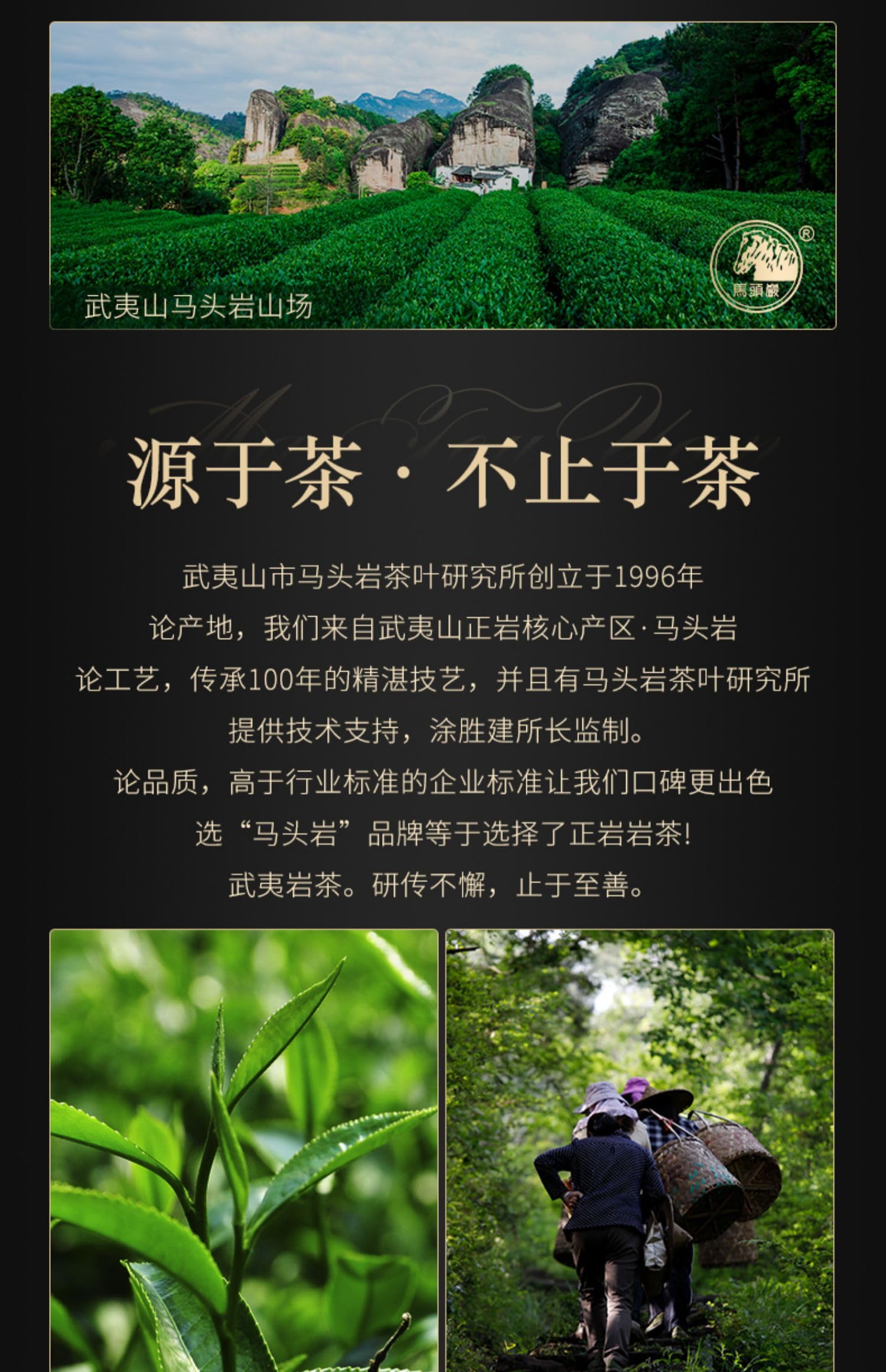 武夷岩茶– Wuyuanjian Rougui Tea Box, 108g