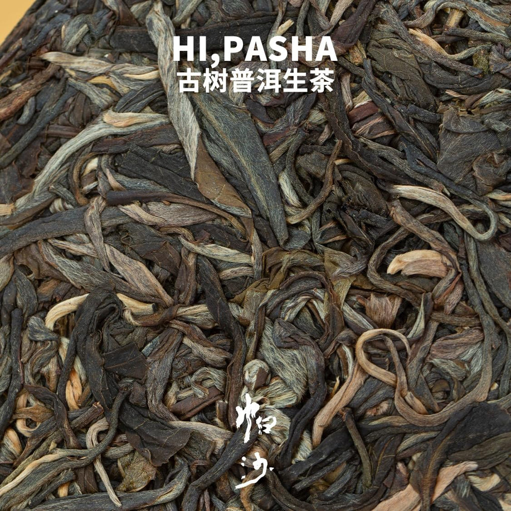 Rainforest Ancient Tree Pasha 2021 Raw Pu-Erh Tea Cake 357g – Premium Yunnan Sheng Puerh, Rich & Mellow