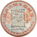 2005 Vintage Che Shun Hao Yiwu Ancient Tree Raw Pu-erh Tea Cake (357g)