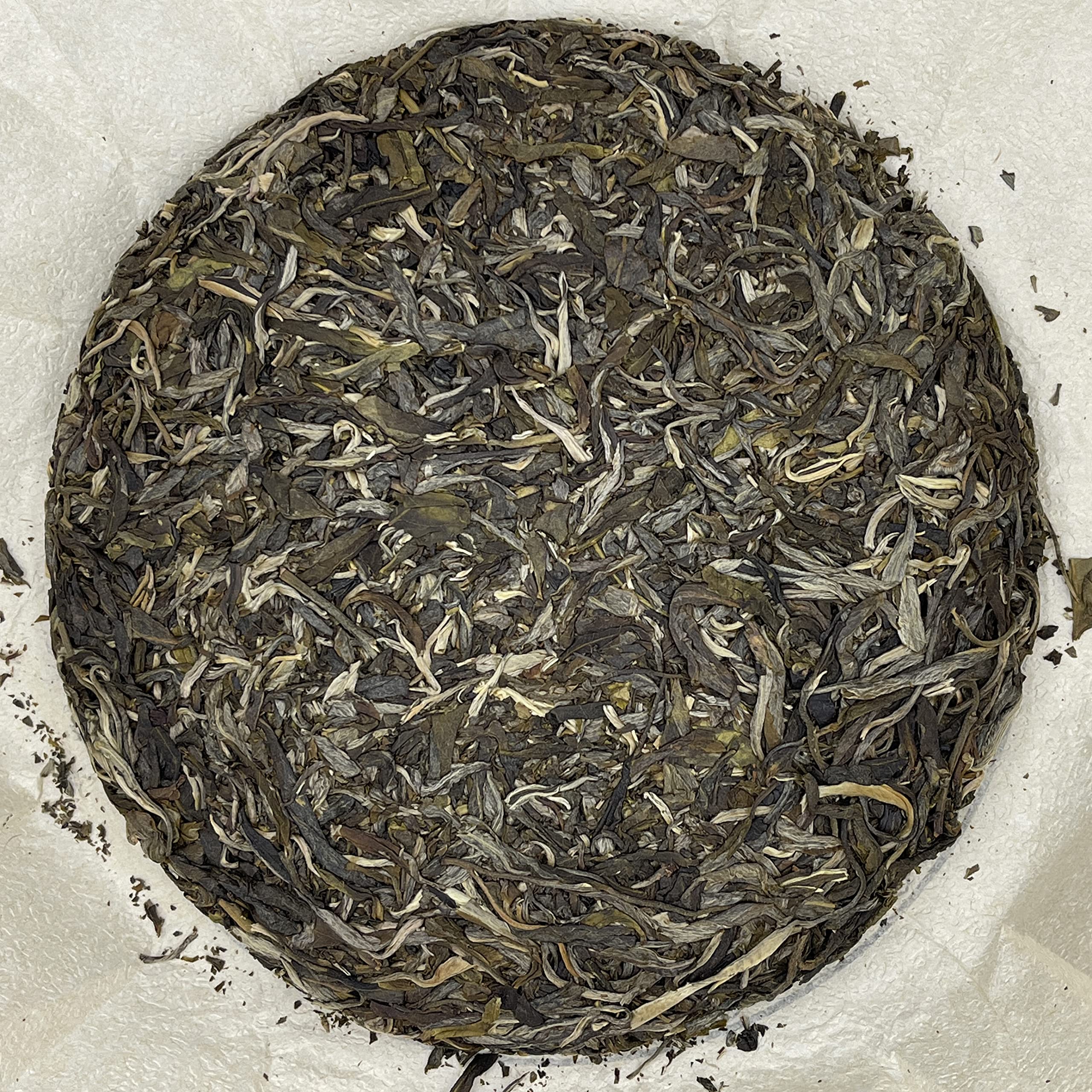 Sheng Jia Yuan Yibang 2009 Raw Pu-Erh Tea Cake 357g